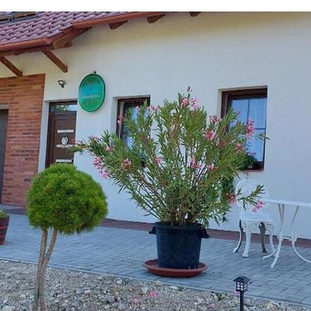 Patak Vendeghaz Hotel Zalaegerszeg Ngoại thất bức ảnh